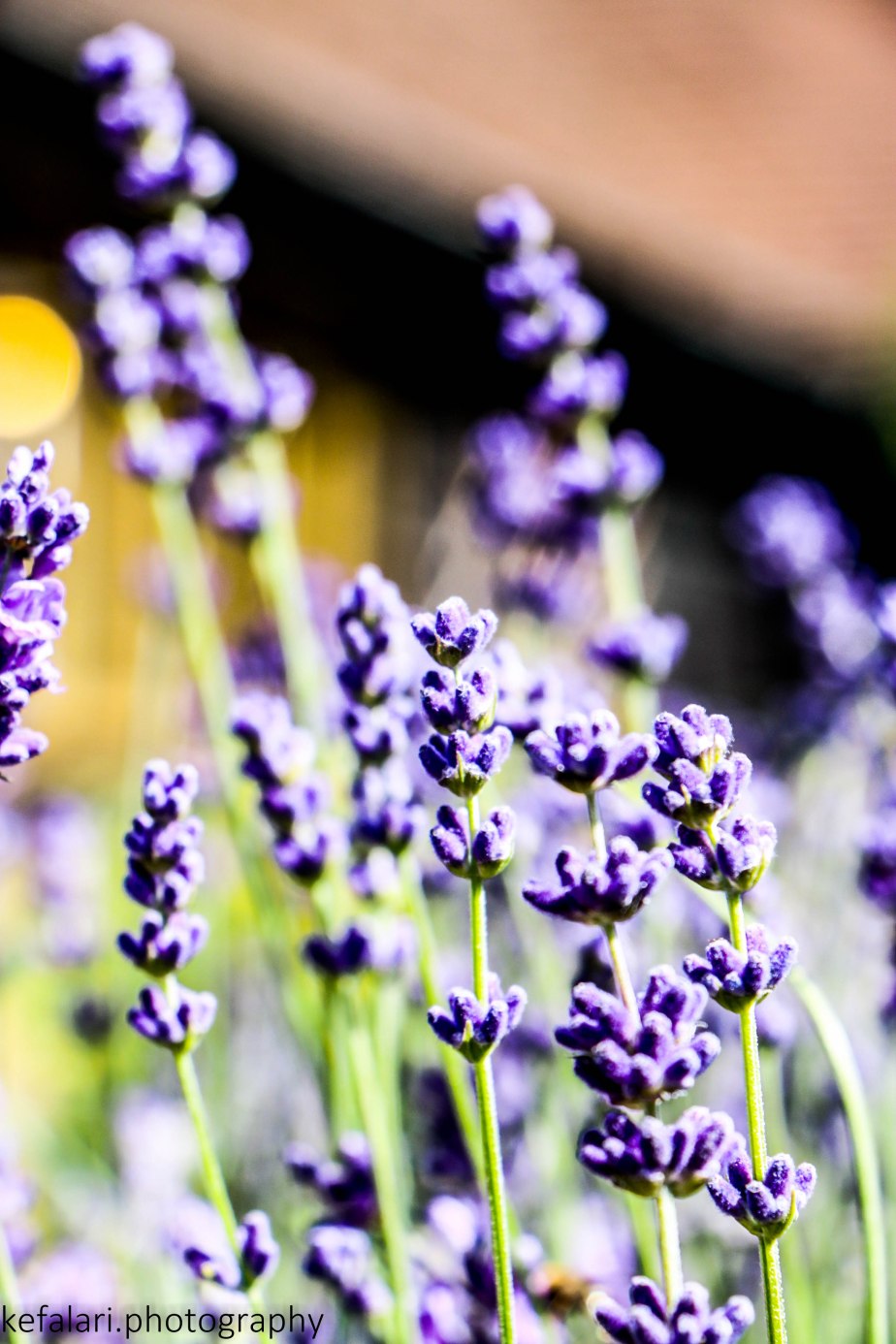 The English Countryside